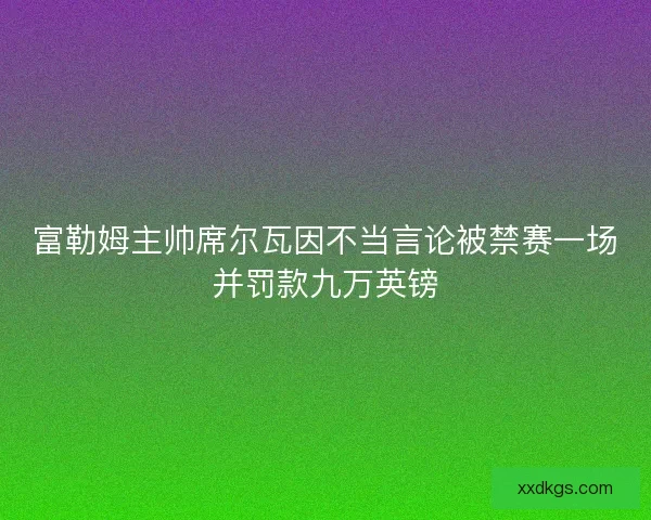 富勒姆主帅席尔瓦因不当言论被禁赛一场并罚款九万英镑